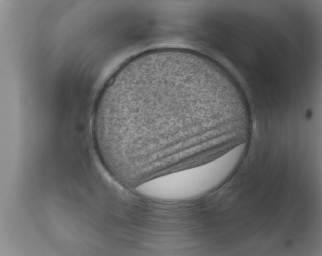 X0000111161416200907211216