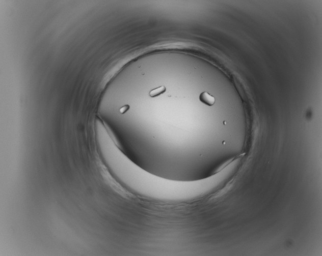 X0000111161417200907211216