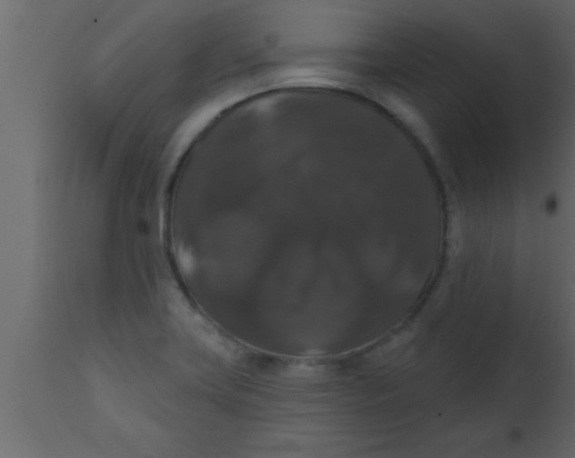 X0000111161419200907211216