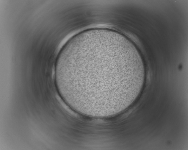 X0000111161420200907211216