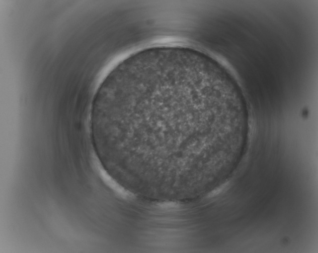 X0000111161421200907211216