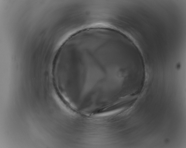 X0000111161422200907211216