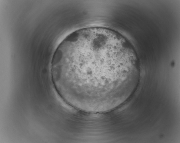 X0000111161423200907211216