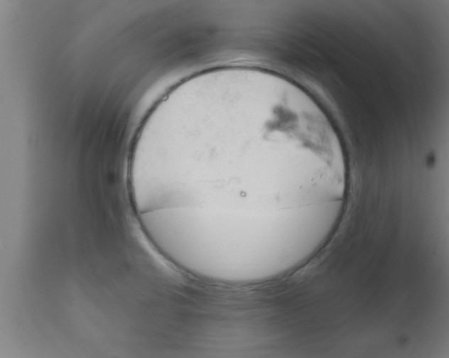 X0000111161424200907211216