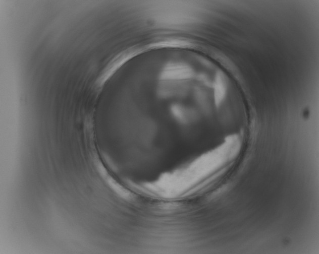 X0000111161425200907211216