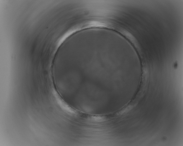 X0000111161427200907211216