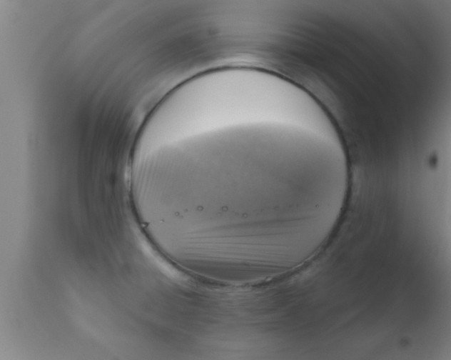 X0000111161428200907211216