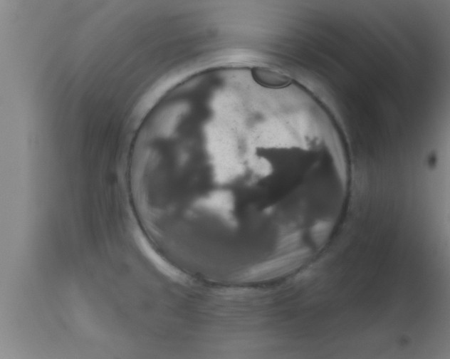 X0000111161429200907211216