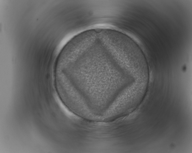 X0000111161430200907211216