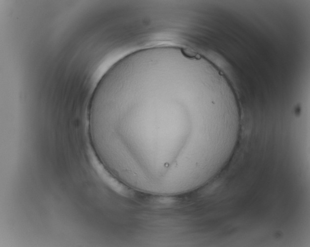 X0000111161431200907211216