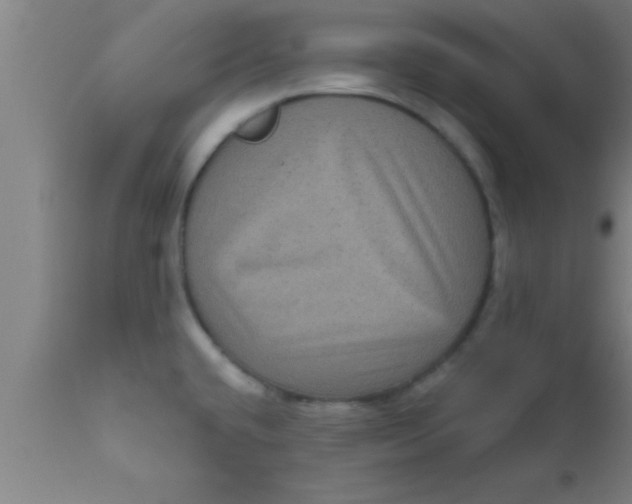 X0000111161432200907211216