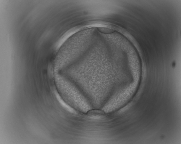 X0000111161433200907211216