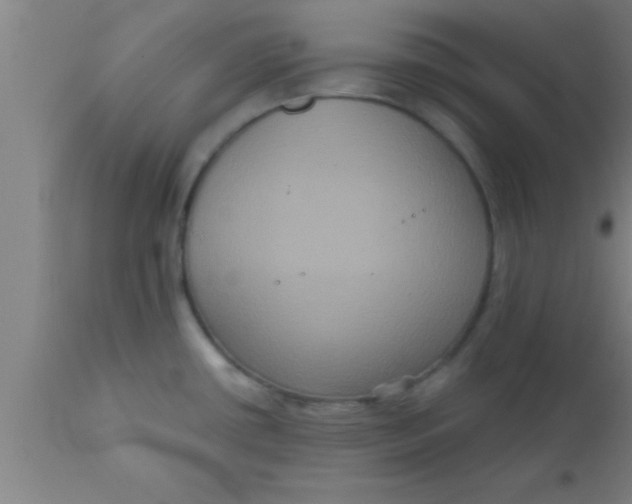 X0000111161434200907211216