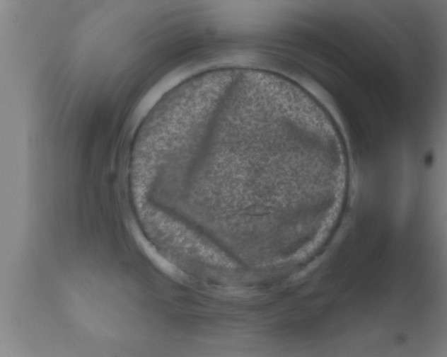 X0000111161437200907211216