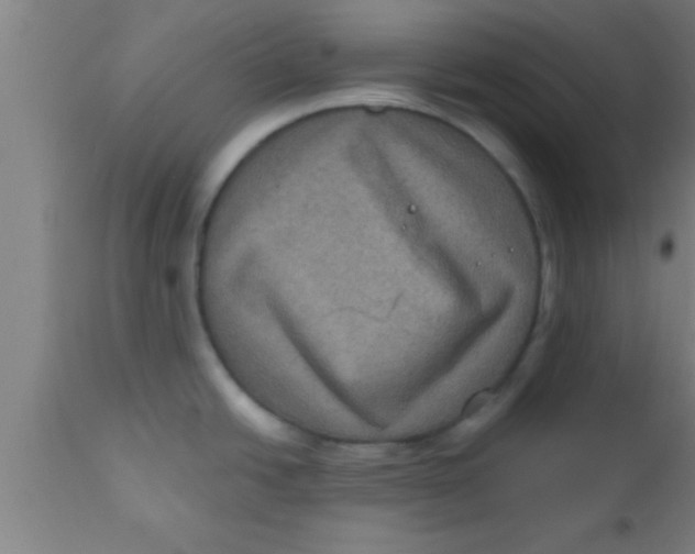 X0000111161438200907211216