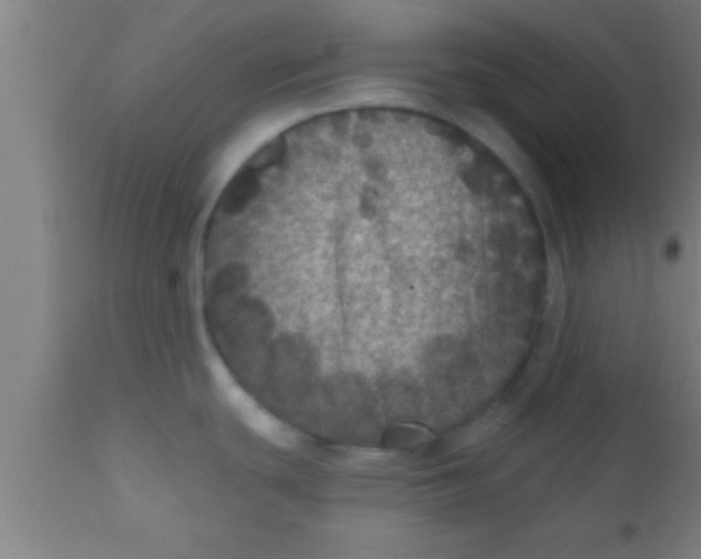 X0000111161439200907211216