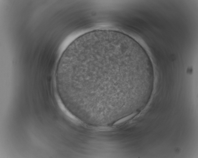 X0000111161440200907211216