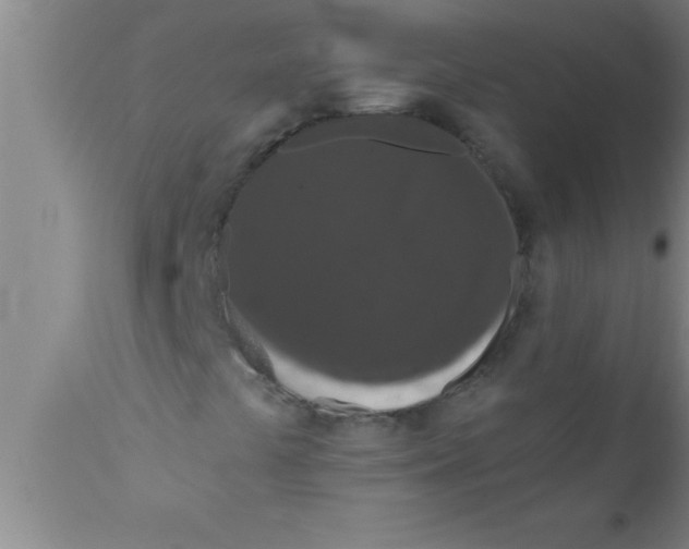 X0000111161441200907211216