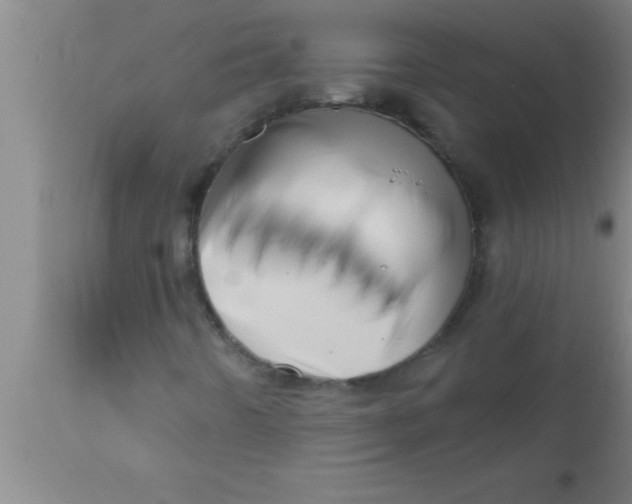 X0000111161442200907211216