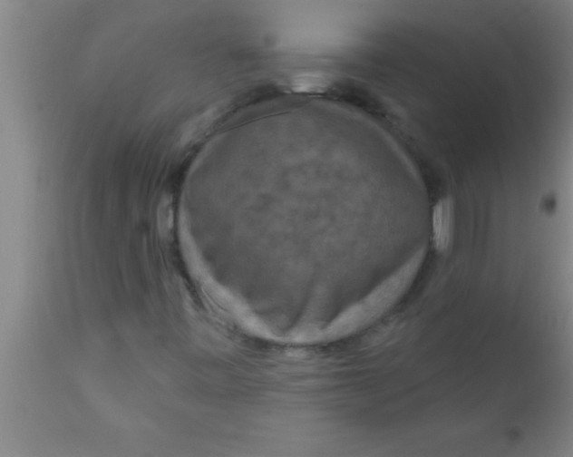 X0000111161443200907211216