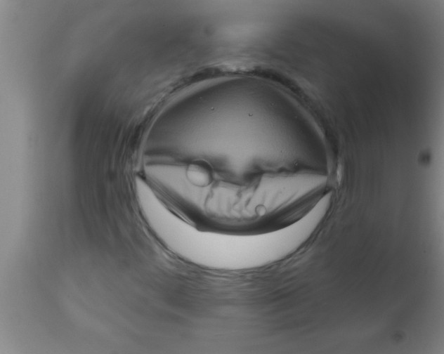 X0000111161444200907211216