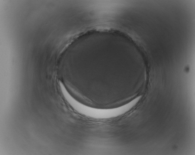 X0000111161445200907211216