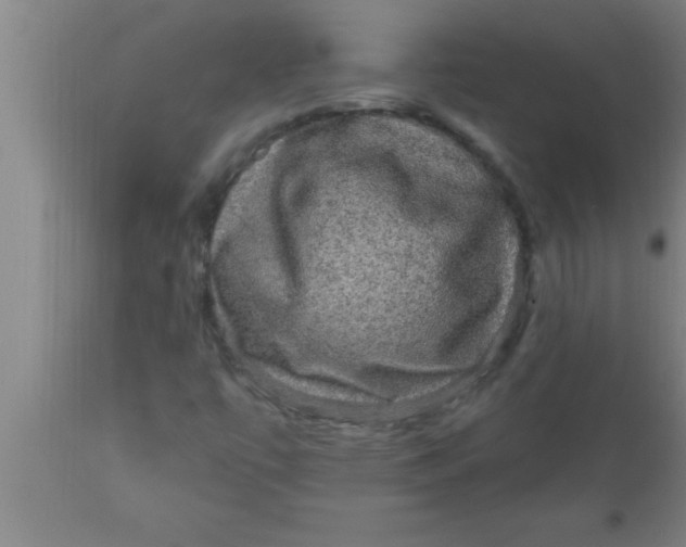 X0000111161447200907211216