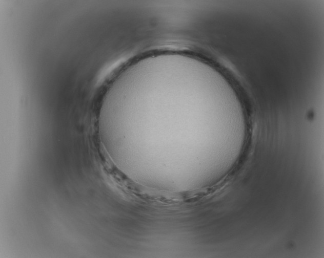 X0000111161448200907211216