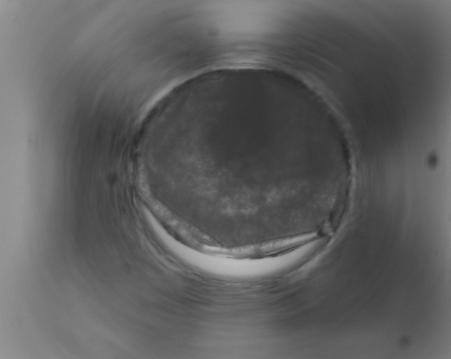 X0000111161449200907211216