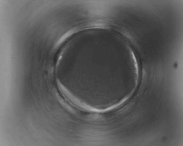 X0000111161450200907211216