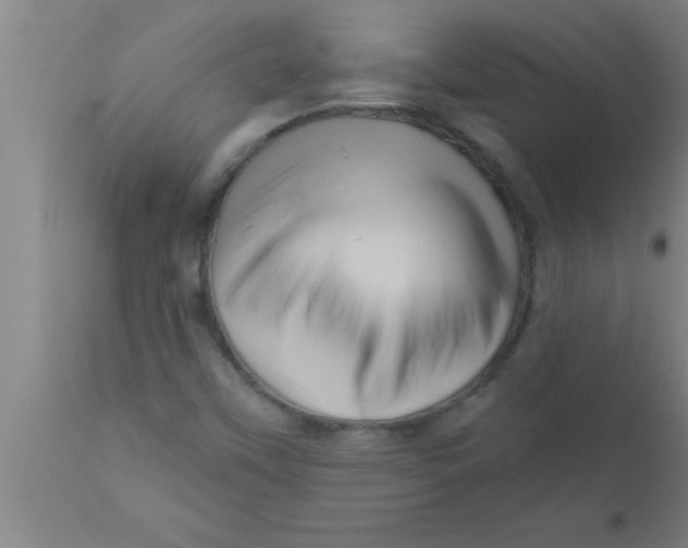 X0000111161451200907211216