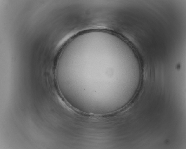 X0000111161452200907211216