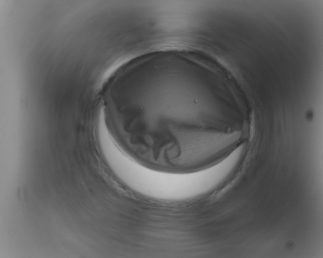 X0000111161453200907211216