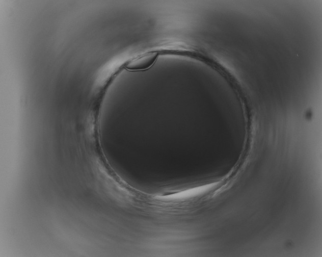 X0000111161455200907211216