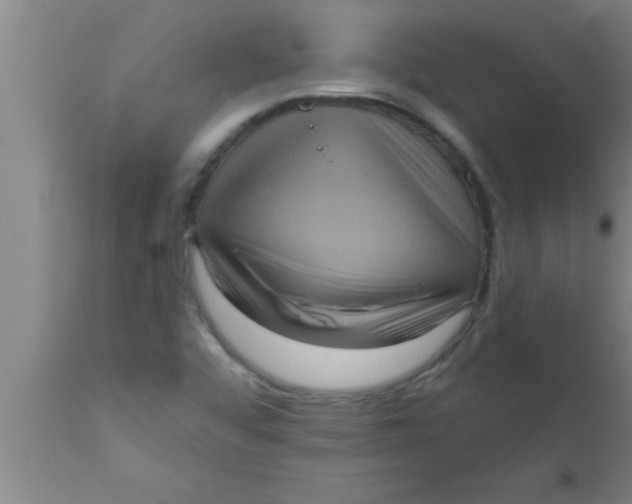 X0000111161456200907211216