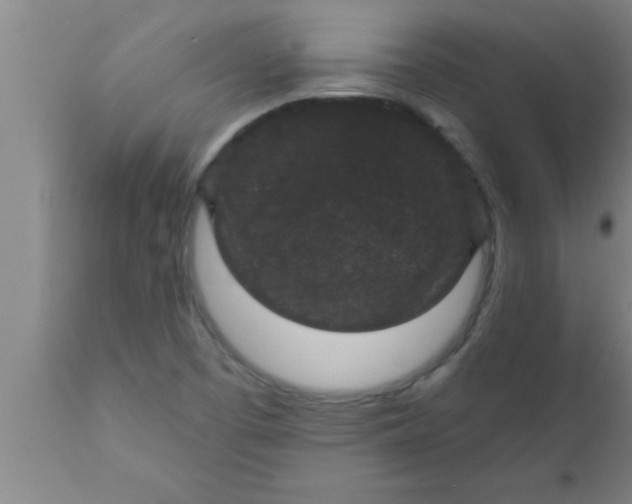 X0000111161457200907211216