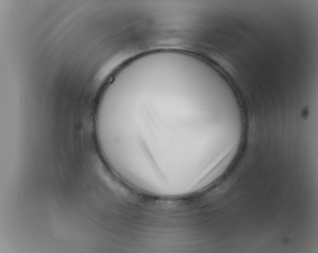 X0000111161458200907211216