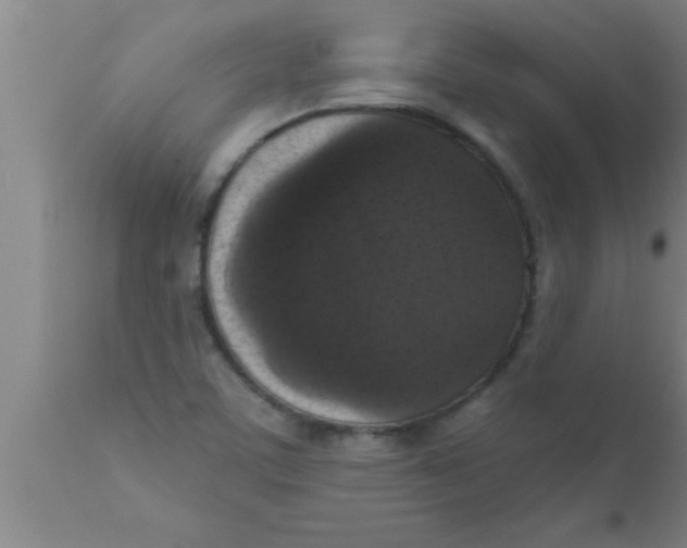 X0000111161459200907211215