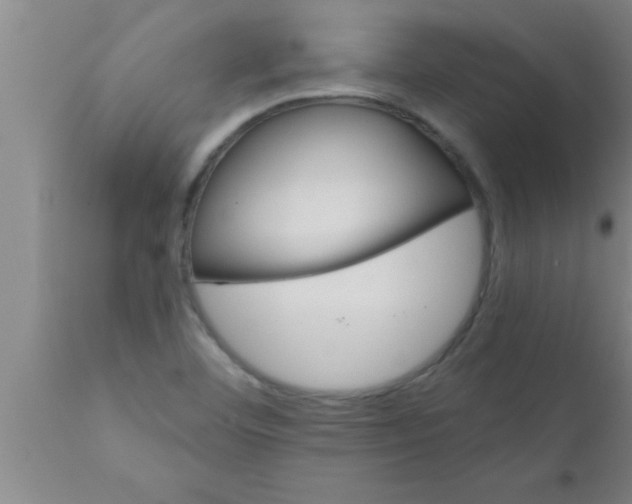 X0000111161460200907211215