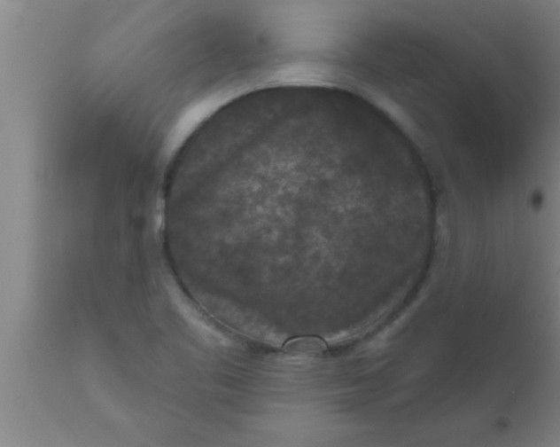 X0000111161461200907211215