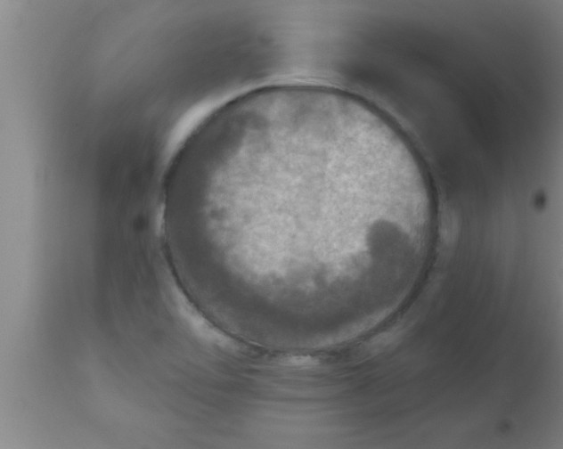 X0000111161462200907211215