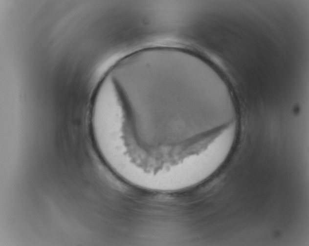 X0000111161463200907211215