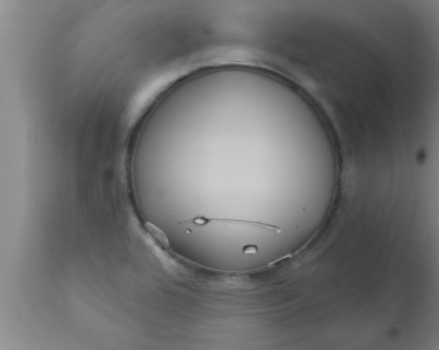 X0000111161464200907211215