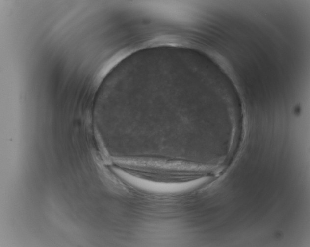 X0000111161465200907211215