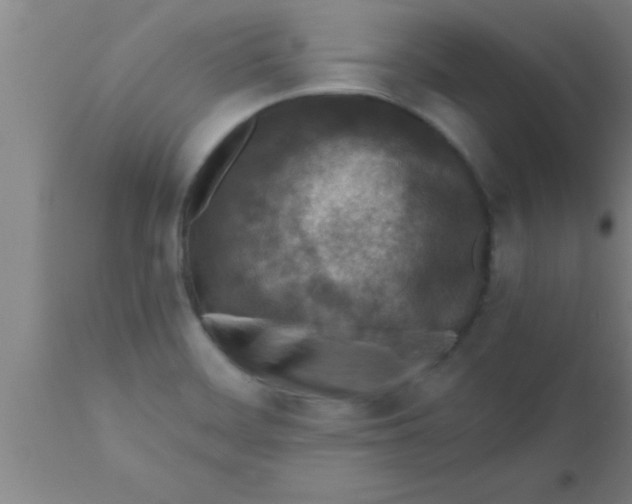 X0000111161468200907211215