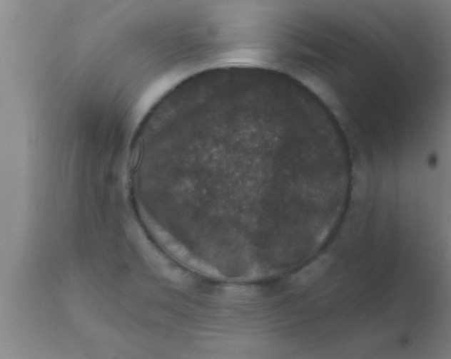 X0000111161469200907211215