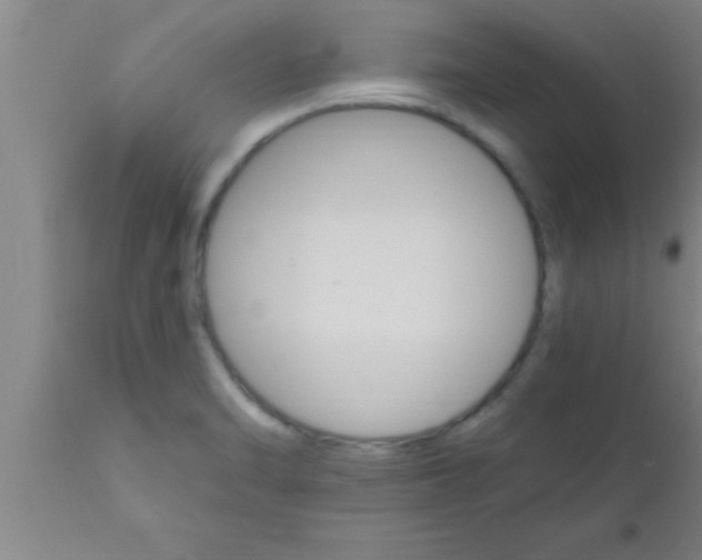 X0000111161470200907211215