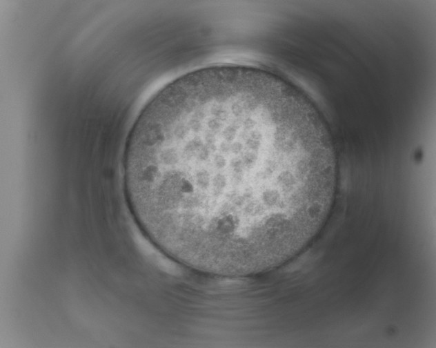 X0000111161471200907211215