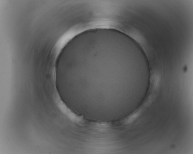 X0000111161472200907211215