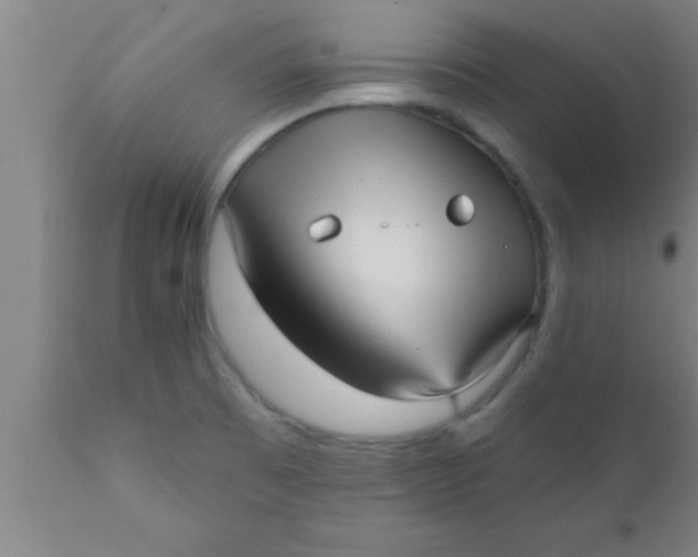 X0000111161473200907211215